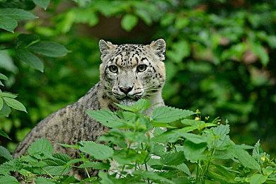 最好的战地！《战地：叛逆连队2》13岁了